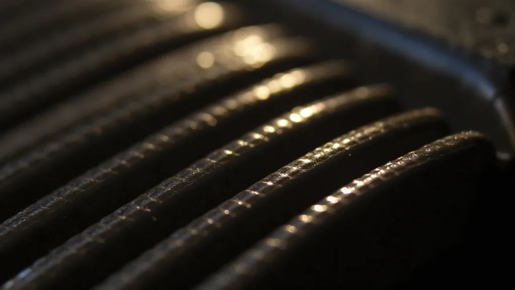Close-up of an accordion reed