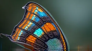 Chromatic Whispers: The Art of Color in Monochrome Astrophotography