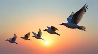 Cosmic Choreography: Aligning Intent with the Celestial Dance